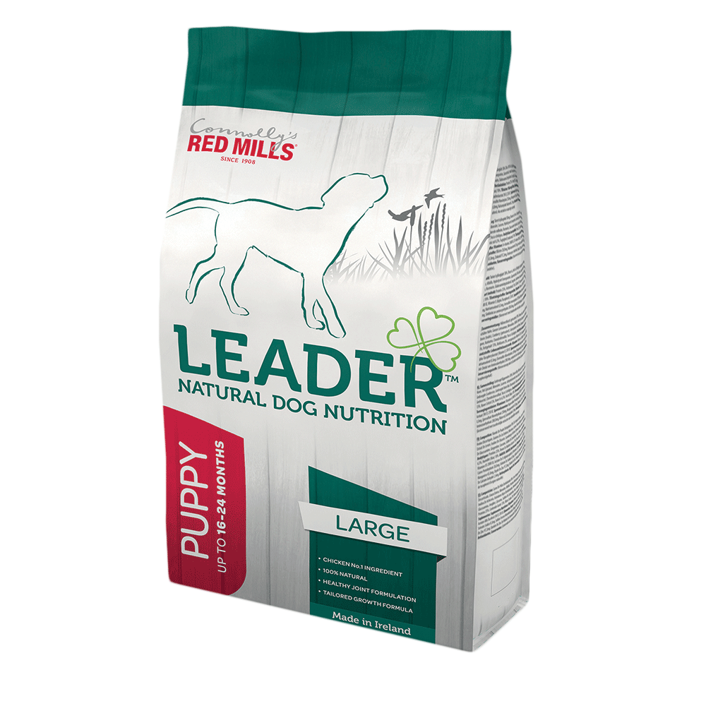 Leader Puppy Large Breed
